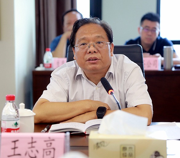 省审计厅对pp电子集团举行2018年资产欠债损益审计