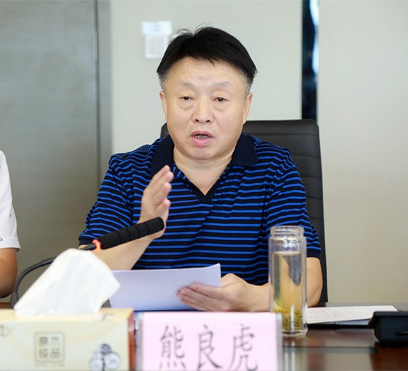 省审计厅对pp电子集团举行2018年资产欠债损益审计
