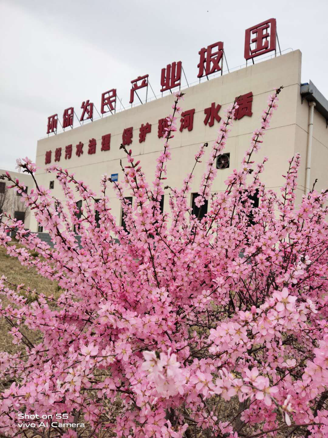 pp电子(中国游)官方在线平台