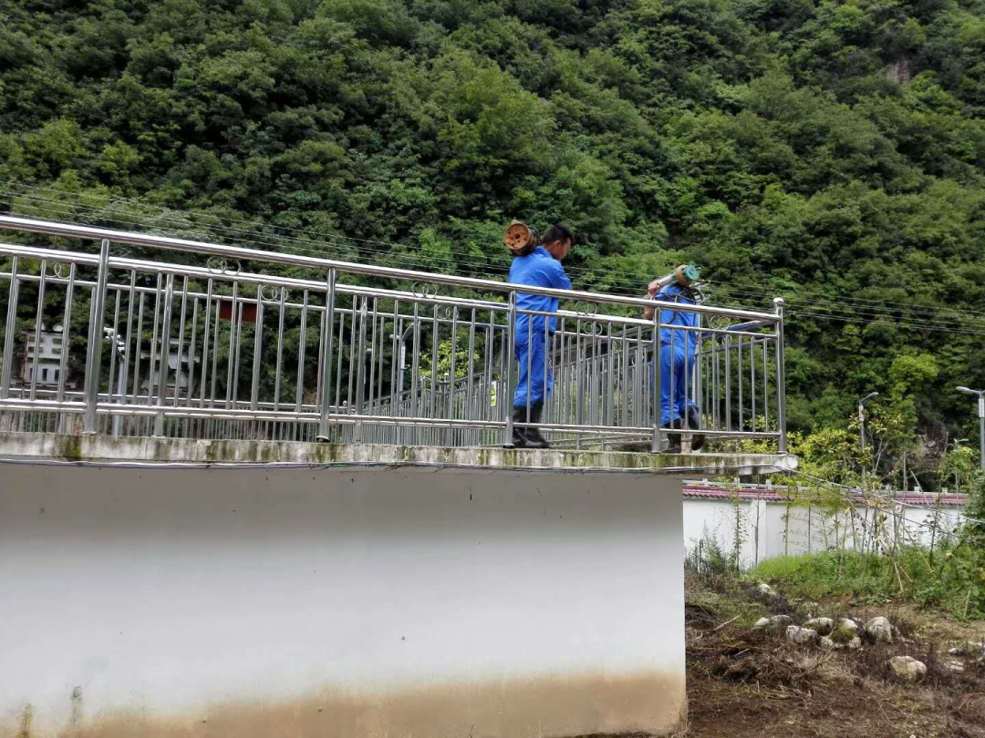 这个端午节，，，，，水情形人这么过（二）