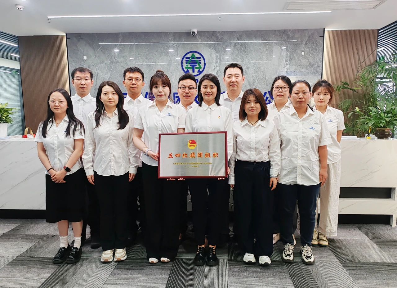 pp电子集团“五四红旗团组织”｜水情形公司：青春奋进正其时 不负春光争朝夕